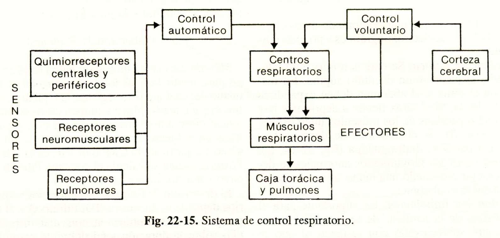 spiro15