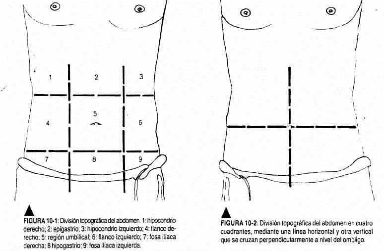 Physical examination of normal abdomen