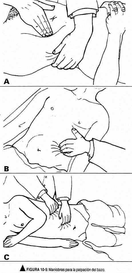 exabdomen04