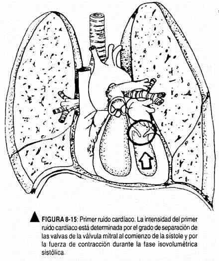 excardio15