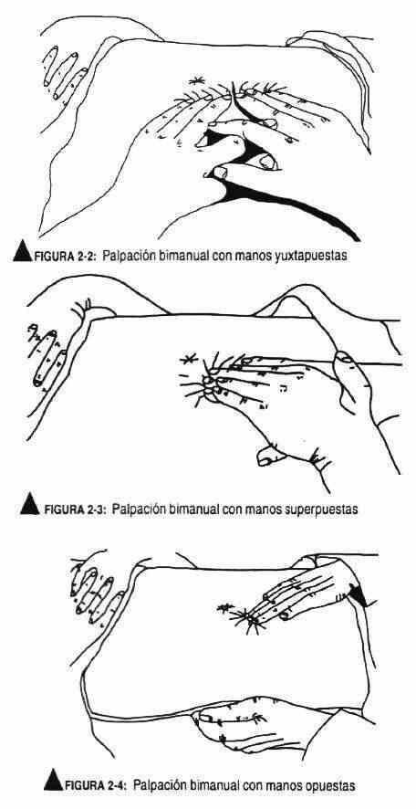 exnormal02