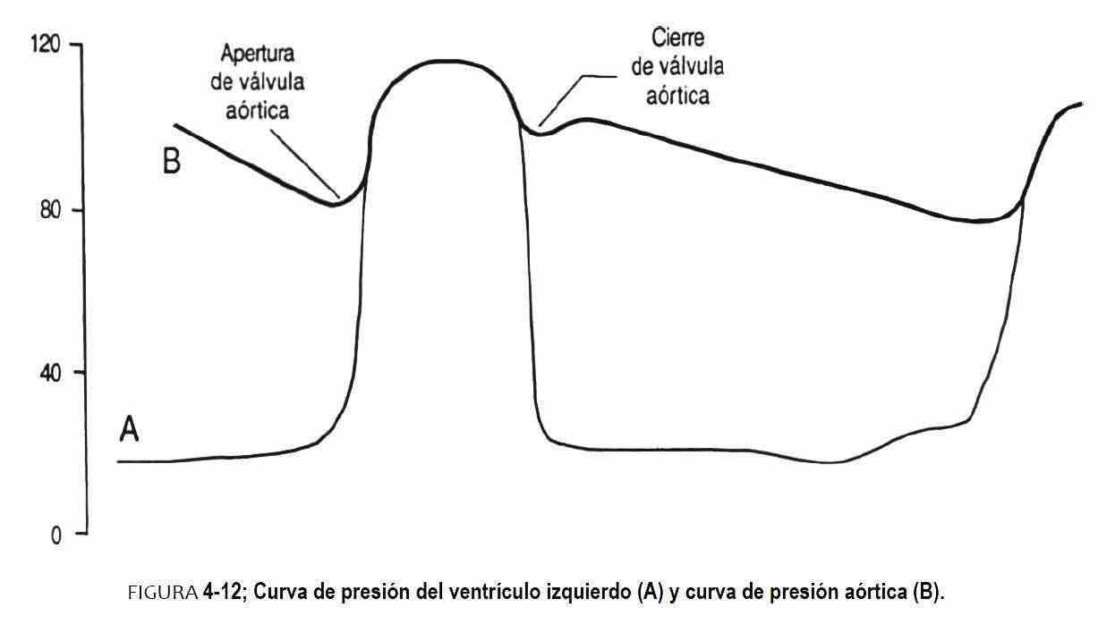 exvitales07