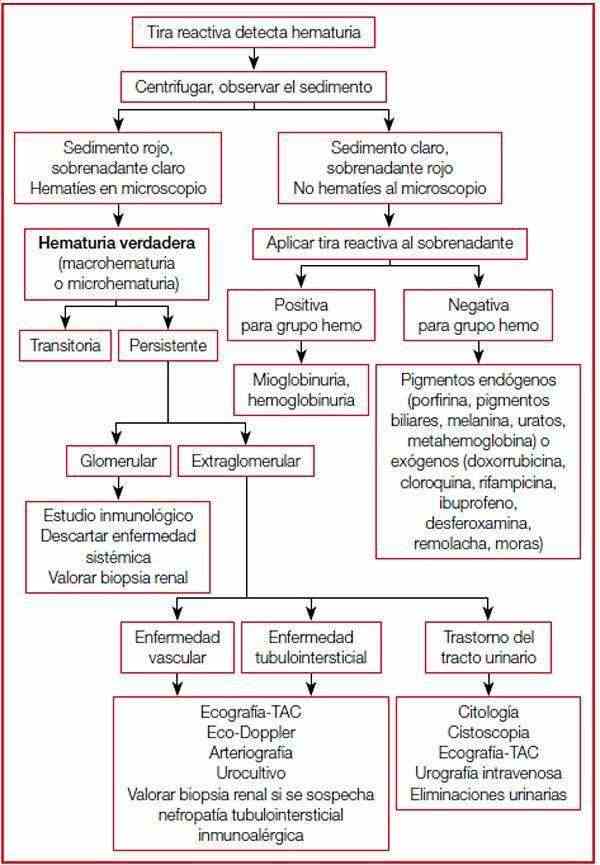 hematfig2